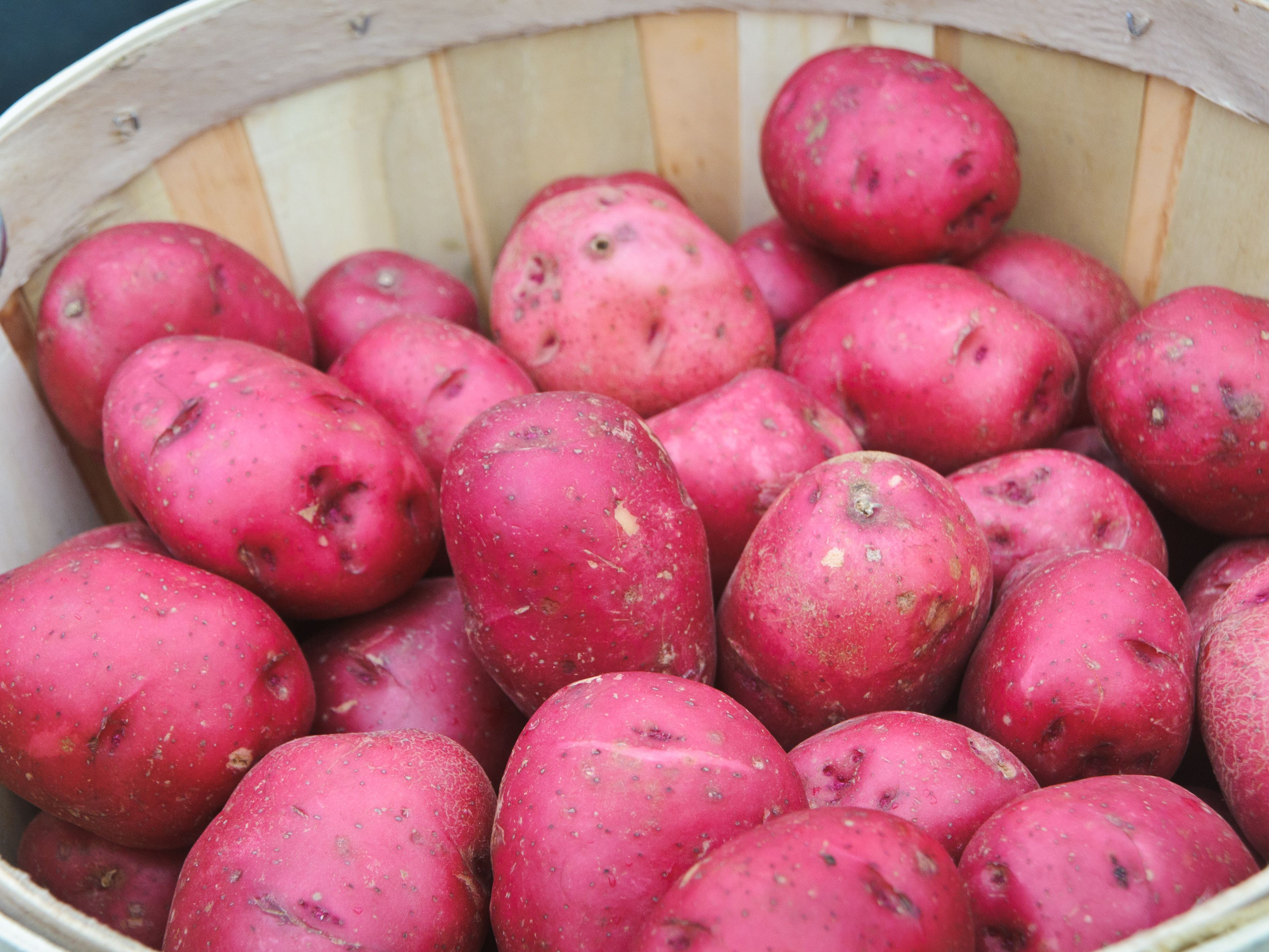 Potato (Red)