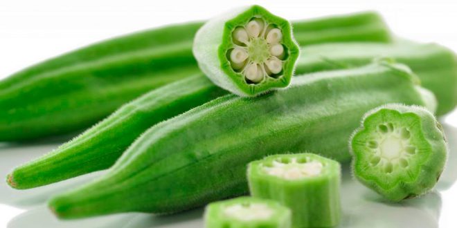 Okra