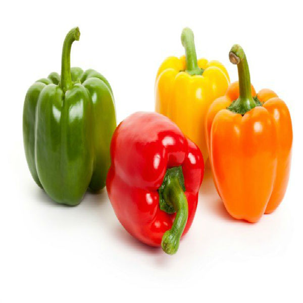 Capsicum