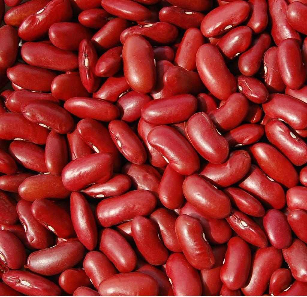 Kidney Beans