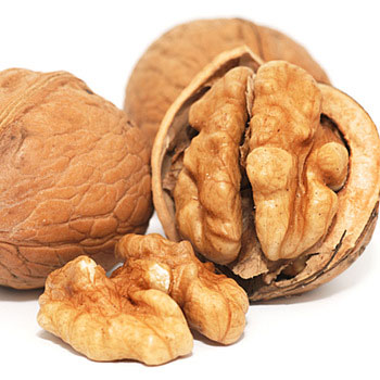 Walnut