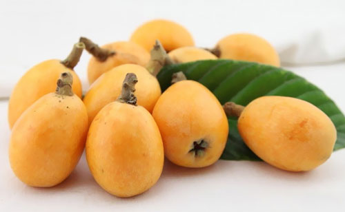 Loquat