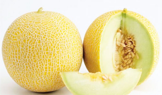 Muskmelon